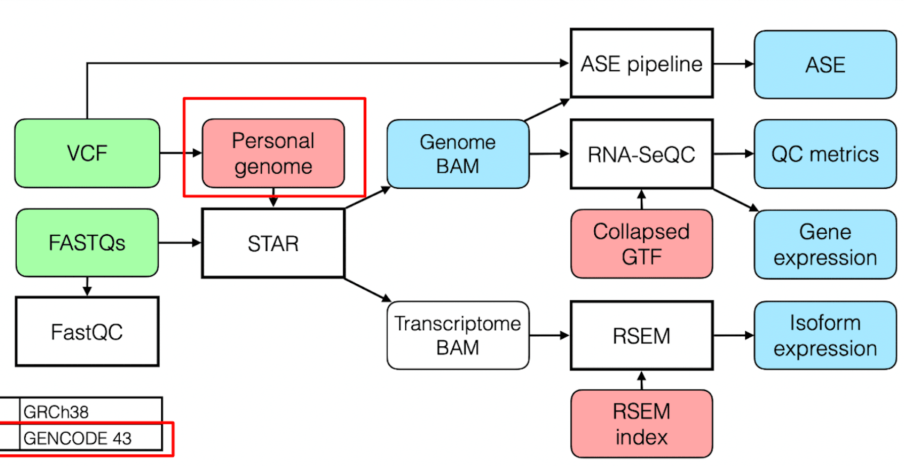 Standard RNA-seq Processing Pipelines