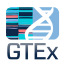 GTEx