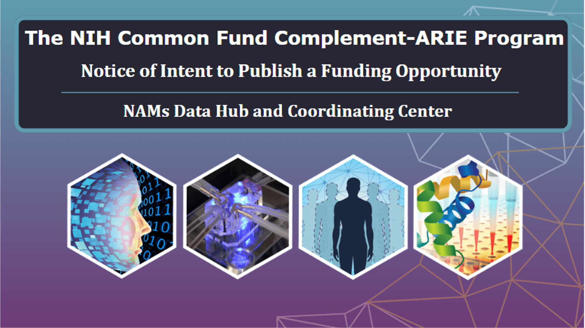 The NIH Common Fund’s Complement-ARIE program