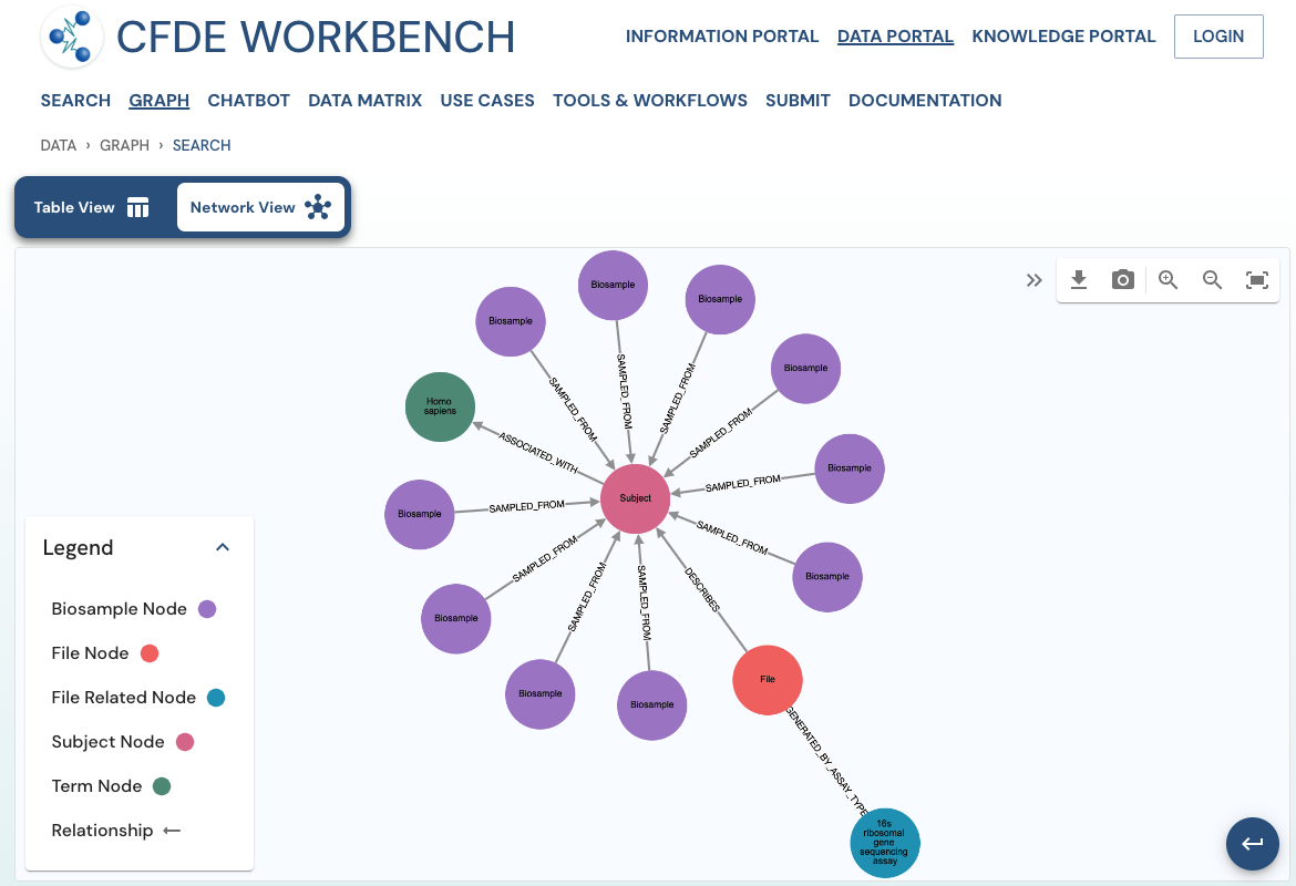 Network View